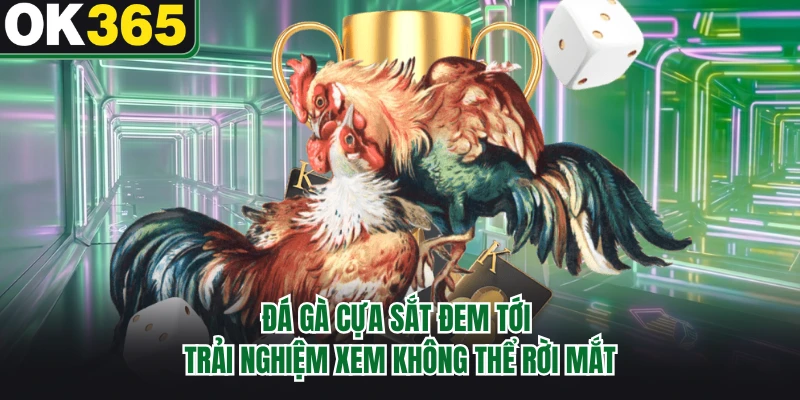 Đá gà cựa sắt đem tới trải nghiệm xem không thể rời mắt