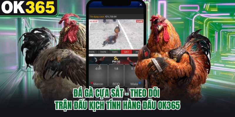 Đá Gà Cựa Sắt - Theo Dõi Trận Đấu Kịch Tính Hàng Đầu OK365