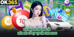 Giải Mã Giấc Mơ Rắn Cắn - Điềm Báo Số Đẹp Tại Sân Chơi OK365