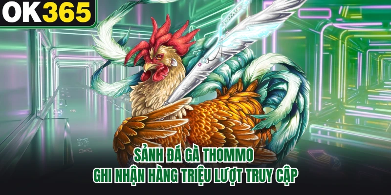 Sảnh đá gà Thommo ghi nhận hàng triệu lượt truy cập